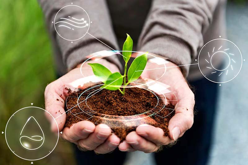 Consultoria Ambiental
